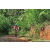 Team 88 / Raid Amazones Sri Lanka 2023 - J5 VTT