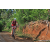 Team 88 / Raid Amazones Sri Lanka 2023 - J5 VTT