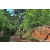 Team 315 / Raid Amazones Sri Lanka 2023 - J5 VTT