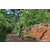 Team 315 / Raid Amazones Sri Lanka 2023 - J5 VTT