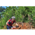 Team 10 / Raid Amazones Sri Lanka 2023 - J5 VTT