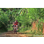 Team 85 / Raid Amazones Sri Lanka 2023 - J5 VTT