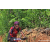 Team 85 / Raid Amazones Sri Lanka 2023 - J5 VTT