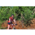 Team 19 / Raid Amazones Sri Lanka 2023 - J5 VTT