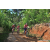 Team 19 / Raid Amazones Sri Lanka 2023 - J5 VTT