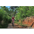 Team 89 / Raid Amazones Sri Lanka 2023 - J5 VTT