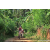Team 330 / Raid Amazones Sri Lanka 2023 - J5 VTT