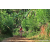 Team 53 / Raid Amazones Sri Lanka 2023 - J5 VTT