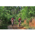 Team 53 / Raid Amazones Sri Lanka 2023 - J5 VTT