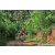 Team 02 / Raid Amazones Sri Lanka 2023 - J5 VTT