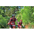 Team 301 / Raid Amazones Sri Lanka 2023 - J5 VTT