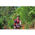 Team 79 / Raid Amazones Sri Lanka 2023 - J5 VTT