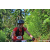 Team 337 / Raid Amazones Sri Lanka 2023 - J5 VTT