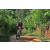 Team 322 / Raid Amazones Sri Lanka 2023 - J5 VTT