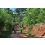Team 22 / Raid Amazones Sri Lanka 2023 - J5 VTT