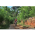 Team 323 / Raid Amazones Sri Lanka 2023 - J5 VTT