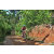 Team 51 / Raid Amazones Sri Lanka 2023 - J5 VTT