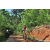 Team 319 / Raid Amazones Sri Lanka 2023 - J5 VTT