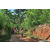 Team 319 / Raid Amazones Sri Lanka 2023 - J5 VTT