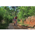 Team 310 / Raid Amazones Sri Lanka 2023 - J5 VTT