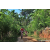 Team 27 / Raid Amazones Sri Lanka 2023 - J5 VTT