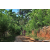 Team 32 / Raid Amazones Sri Lanka 2023 - J5 VTT