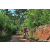 Team 32 / Raid Amazones Sri Lanka 2023 - J5 VTT