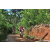 Team 01 / Raid Amazones Sri Lanka 2023 - J5 VTT