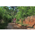 Team 04 / Raid Amazones Sri Lanka 2023 - J5 VTT