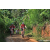 Team 71 / Raid Amazones Sri Lanka 2023 - J5 VTT
