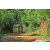 Team 70 / Raid Amazones Sri Lanka 2023 - J5 VTT