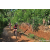 Team 28 / Raid Amazones Sri Lanka 2023 - J5 VTT