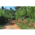 Team 29 / Raid Amazones Sri Lanka 2023 - J5 VTT