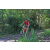 Team 43 / Raid Amazones Sri Lanka 2023 - J5 VTT