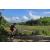 Team 336 / Raid Amazones Sri Lanka 2023 - J5 VTT