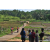 Team 336 / Raid Amazones Sri Lanka 2023 - J5 VTT
