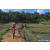 Team 09 / Raid Amazones Sri Lanka 2023 - J5 VTT