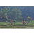 Team 28 / Raid Amazones Sri Lanka 2023 - J5 VTT