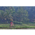 Team 315 / Raid Amazones Sri Lanka 2023 - J5 VTT