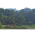 Team 01 / Raid Amazones Sri Lanka 2023 - J5 VTT