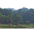 Team 322 / Raid Amazones Sri Lanka 2023 - J5 VTT