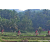 Team 303 / Raid Amazones Sri Lanka 2023 - J5 VTT