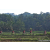 Team 303 / Raid Amazones Sri Lanka 2023 - J5 VTT