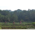 Team 319 / Raid Amazones Sri Lanka 2023 - J5 VTT
