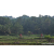 Team 337 / Raid Amazones Sri Lanka 2023 - J5 VTT