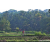 Team 336 / Raid Amazones Sri Lanka 2023 - J5 VTT