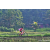 Team 80 / Raid Amazones Sri Lanka 2023 - J5 VTT