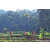 Team 38 / Raid Amazones Sri Lanka 2023 - J5 VTT