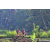 Team 38 / Raid Amazones Sri Lanka 2023 - J5 VTT