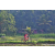 Team 31 / Raid Amazones Sri Lanka 2023 - J5 VTT